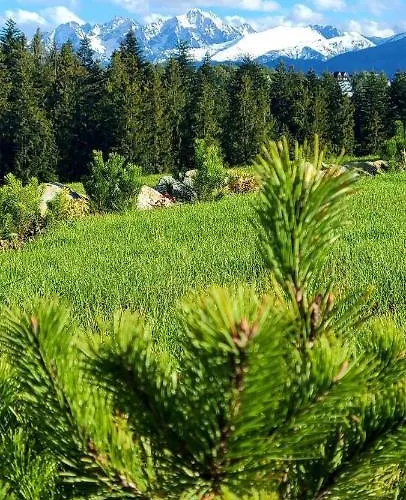 Dreamplace 度假居